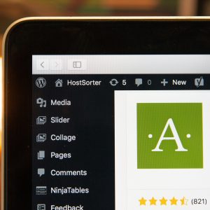 Personalized AJAX Search and Filter Module for WordPress or Custom Sites
